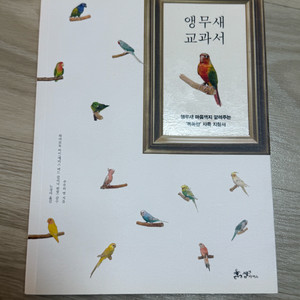 앵무새 교과서 책