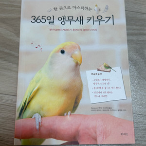 365일 앵무새 키우기 책