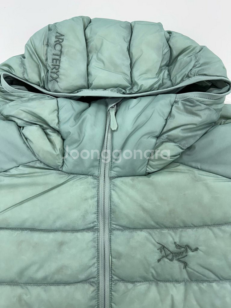 아크테릭스 세륨후디--6