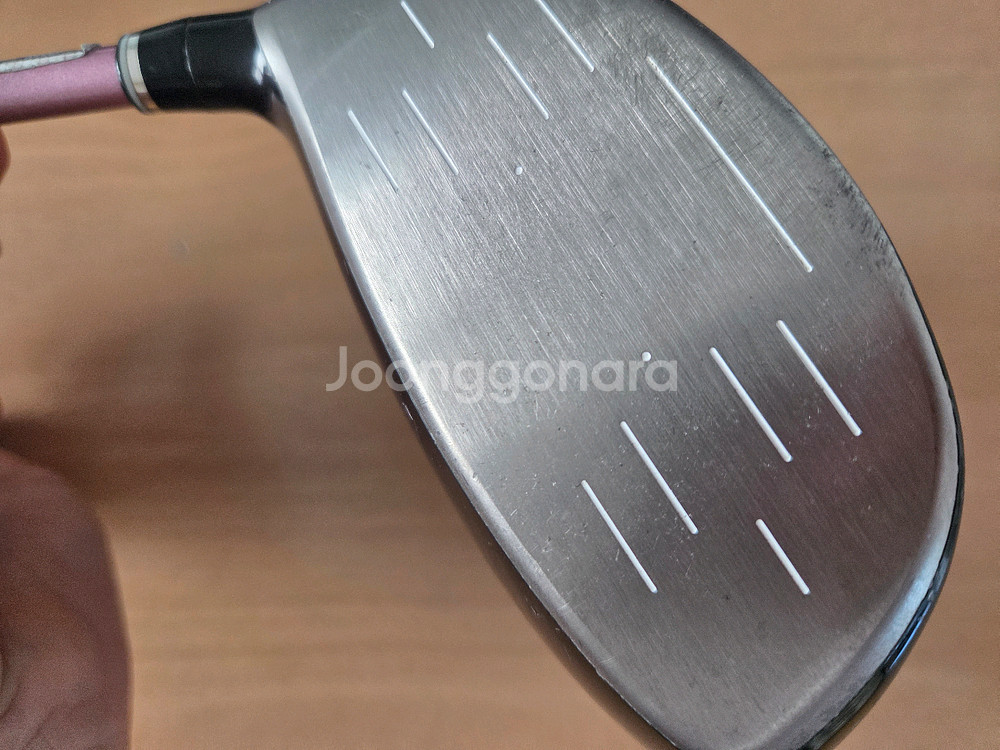 젝시오 여성 드라이버--1