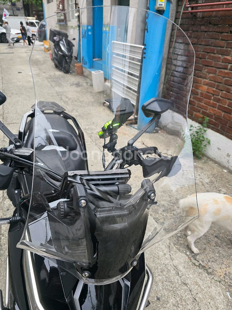 존테스 368g 팝니다--7