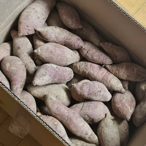 고구마 10kg