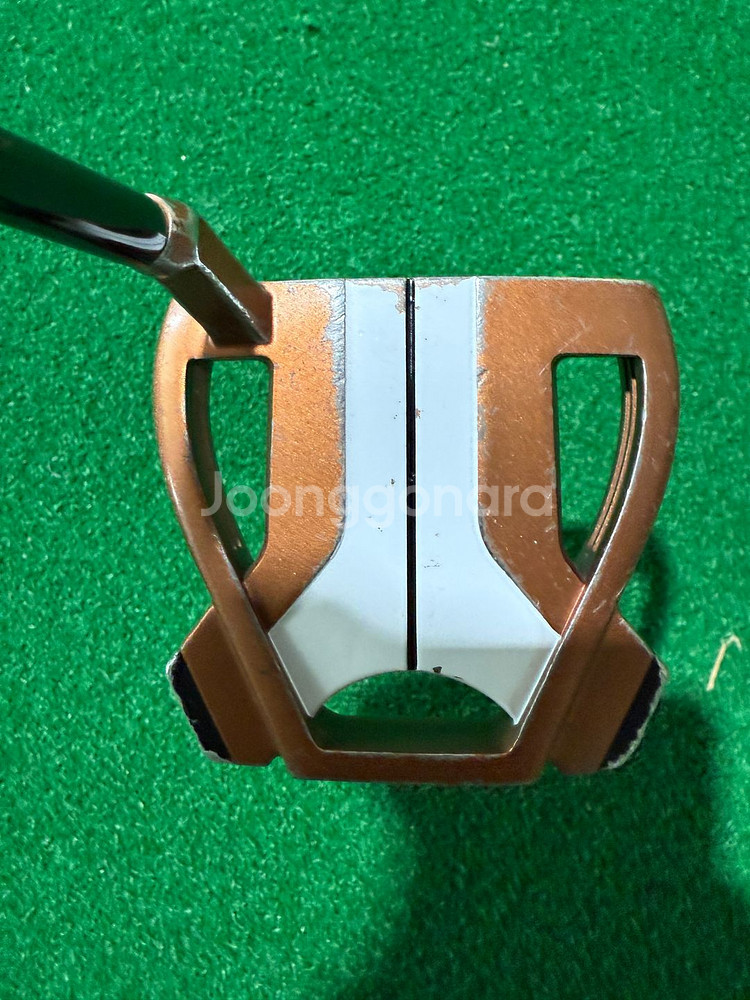 테일러메이드 스파이더 X 퍼터 34인치--1