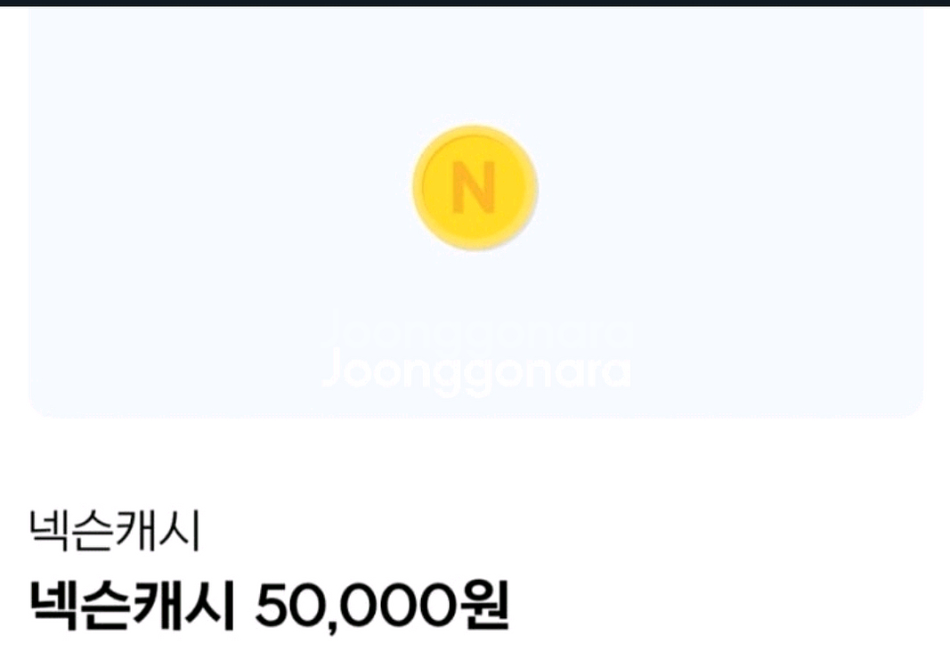 넥슨캐시 만원--0