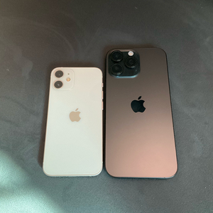 아이폰 16 프로맥스 1TB (미국판 유심락) + 아이폰 12 미니 128GB