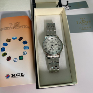 탠디 다이아몬드 남성 시계