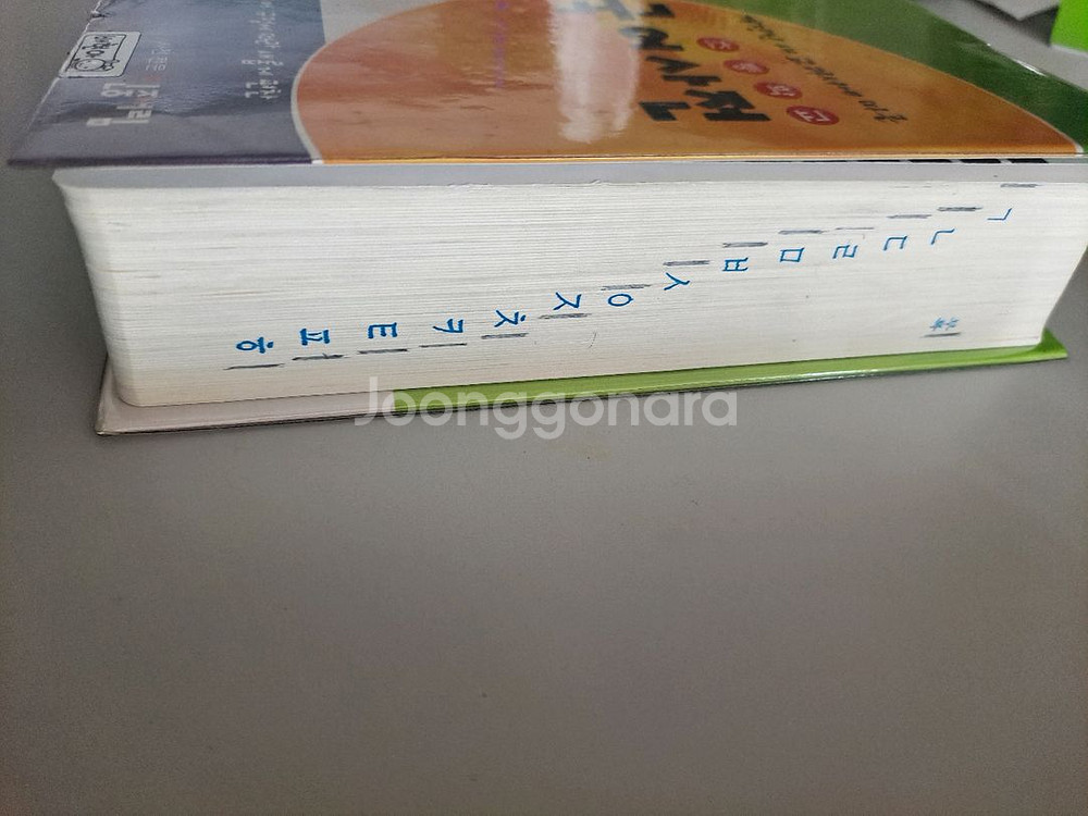 민중서림 새국어사전--1