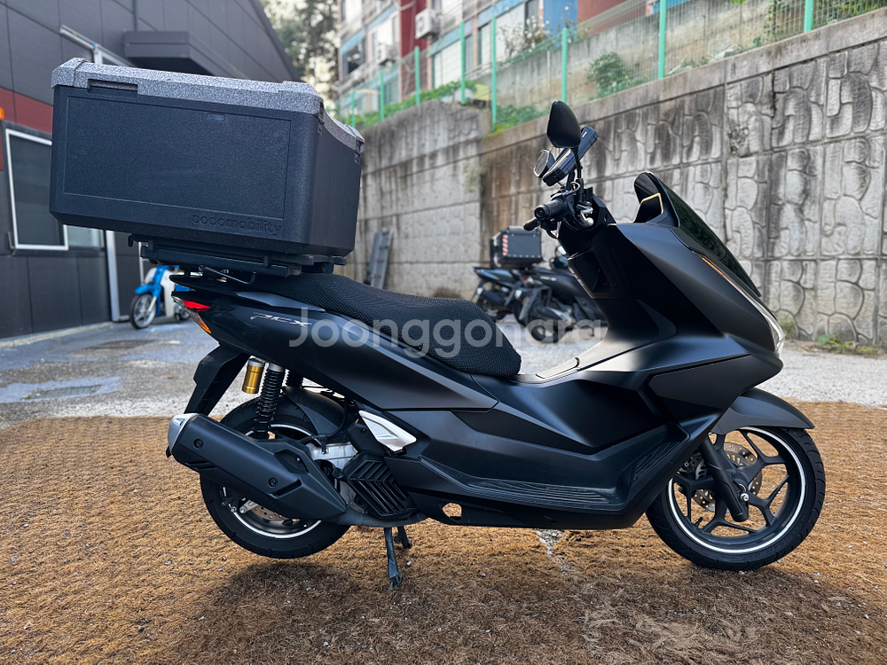 혼다 Pcx125 ABS 25년식 신차급 1천Km 판매--3