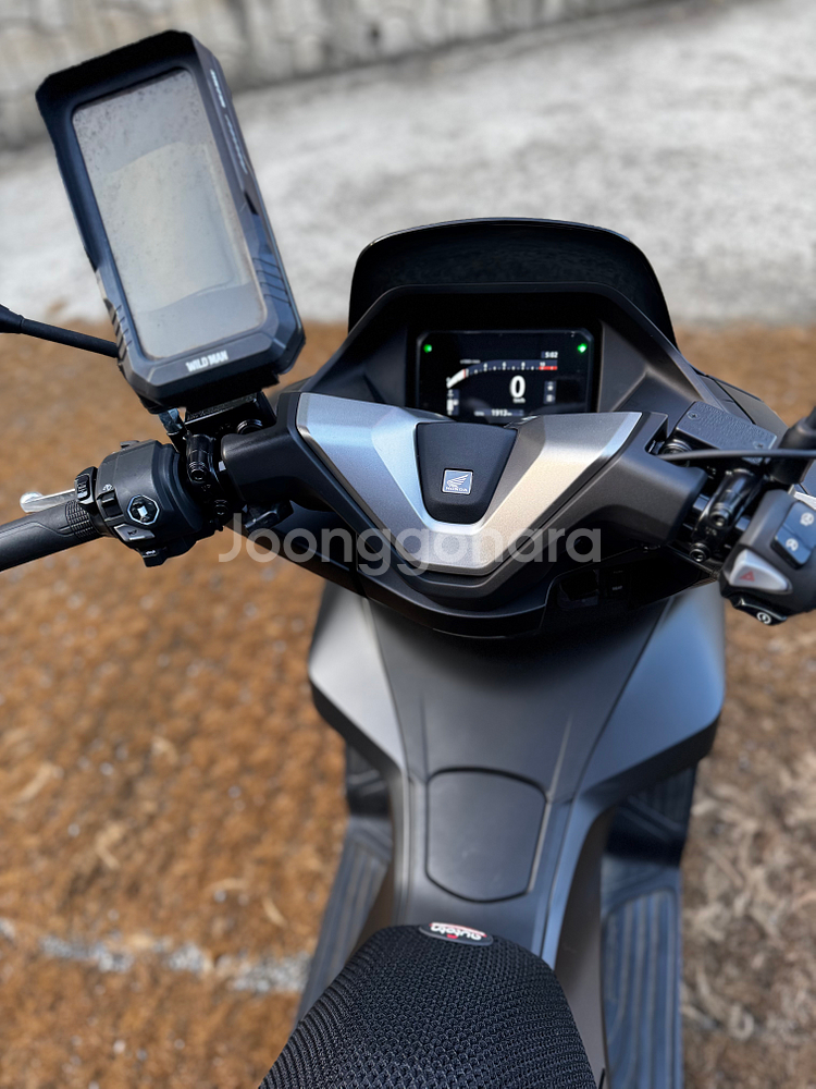 혼다 Pcx125 ABS 25년식 신차급 1천Km 판매--8