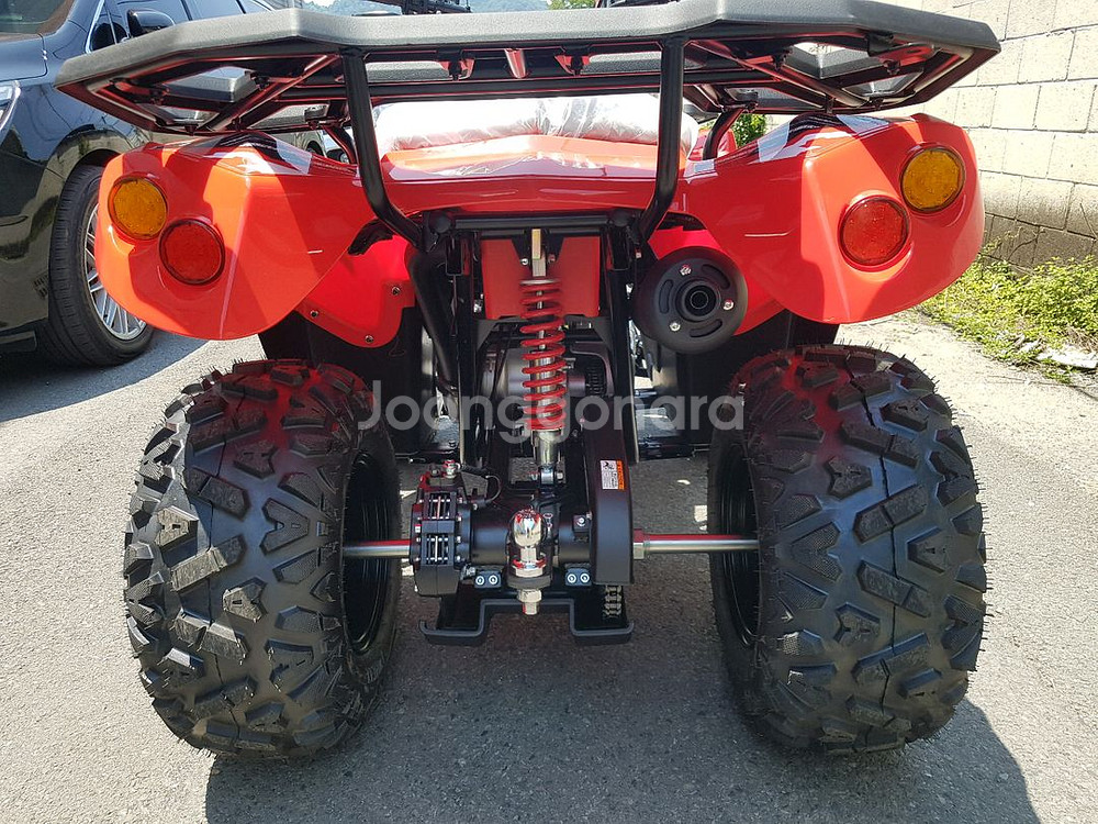 사륜바이크 카요 불200 할인판매중--3