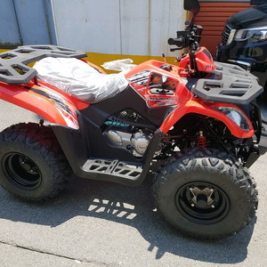 사륜바이크 카요 불200 할인판매중