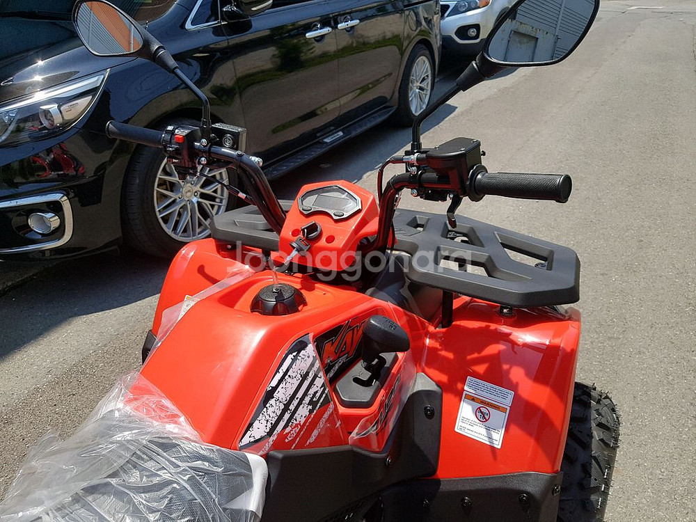 사륜바이크 카요 불200 할인판매중--4