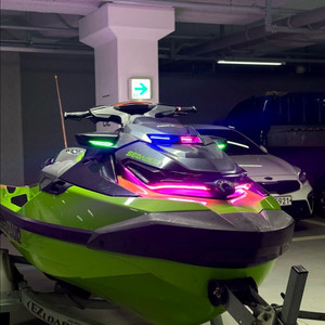 제트스키 씨두 rxt300 캘리포니아 그린