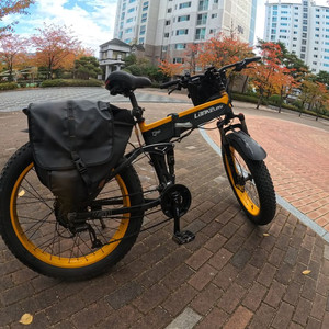 랑케레이시 전기자전거 XT750