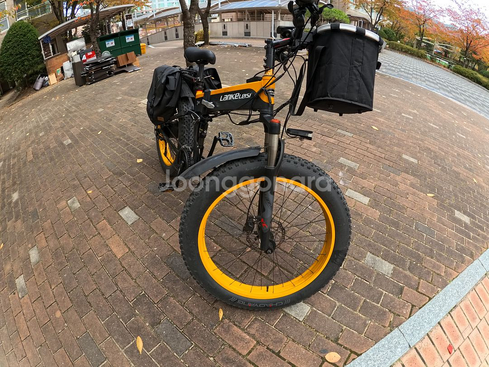 랑케레이시 전기자전거 XT750--5