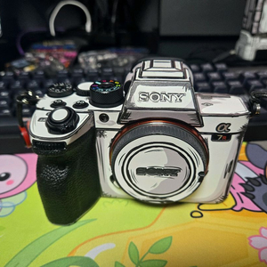 소니 A7R4A 미러리스 카메라