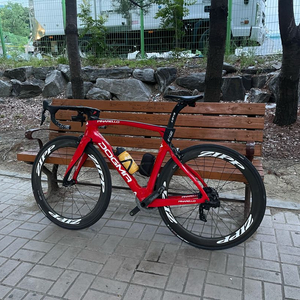 피나렐로 도그마 F12 림브레이크