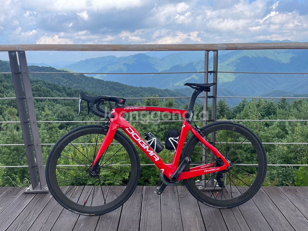 피나렐로 도그마 F12 림브레이크--3