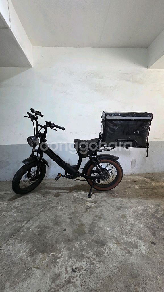 전기자전거알톤 파이톤 20 전기 자전거 자토바이 48V 500W 15Ah 파스 스로틀 겸용--2