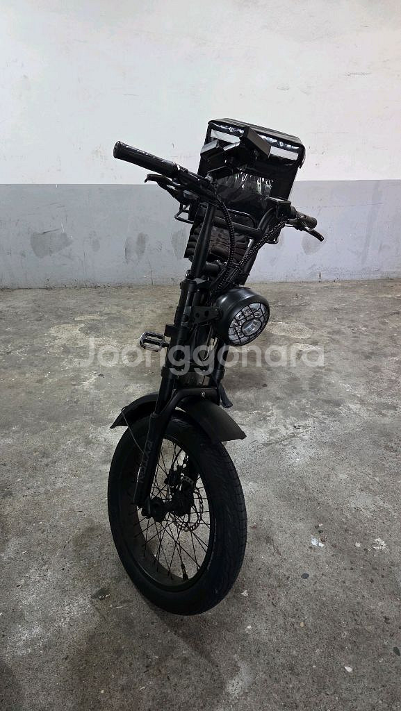 전기자전거알톤 파이톤 20 전기 자전거 자토바이 48V 500W 15Ah 파스 스로틀 겸용--4