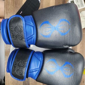 스팅 프레데터 14온스 스파링 글러브