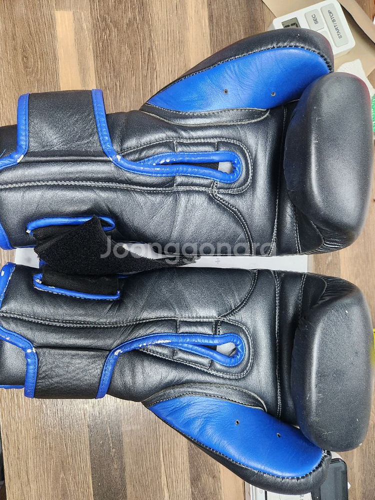 스팅 프레데터 14온스 스파링 글러브--1