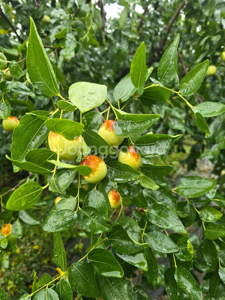 여기어때 대신 예약해 드려요--0