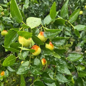 여기어때 대신 예약해 드려요