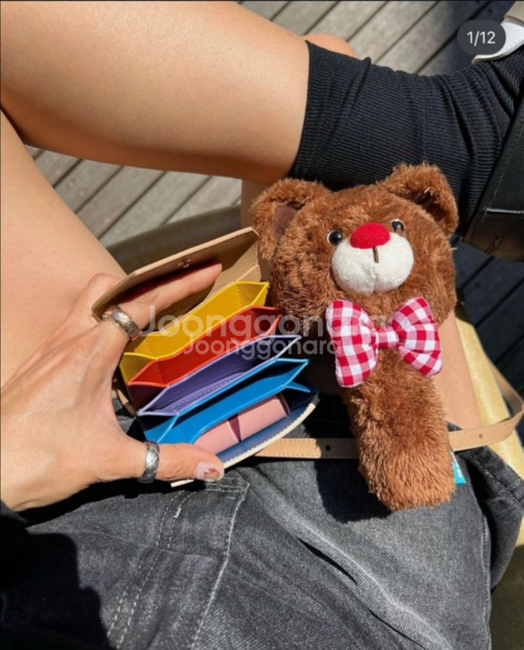 미로이 나오미 미니백--1