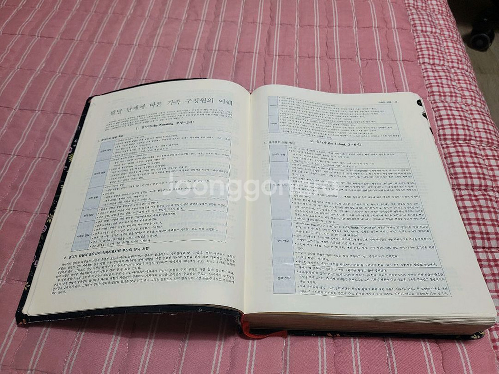 가정성경--2