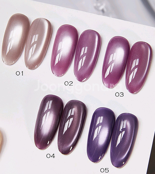 자석젤 젤네일5종_컬러젤 자석젤네일 (+자석)--1