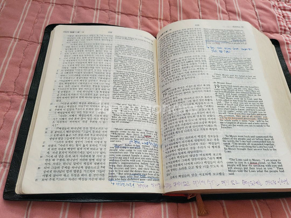 한영 현대인의 성경--2