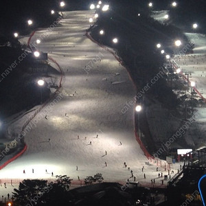 비발디(소노벨 C) 파인 파크뷰 스위트 12/26~12/28 2/3일