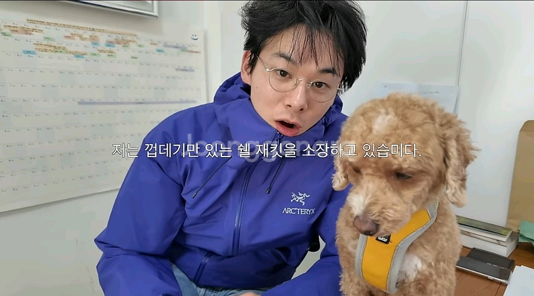 아크테릭스 베타FL 스퀴드잉크 라지사이즈--5