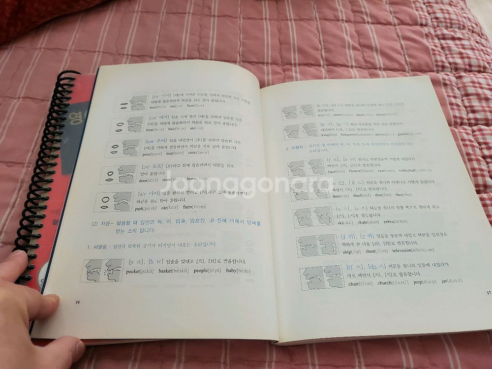 영어회화 교과서 + 어순으로 끝내는 영어회화 세트--5