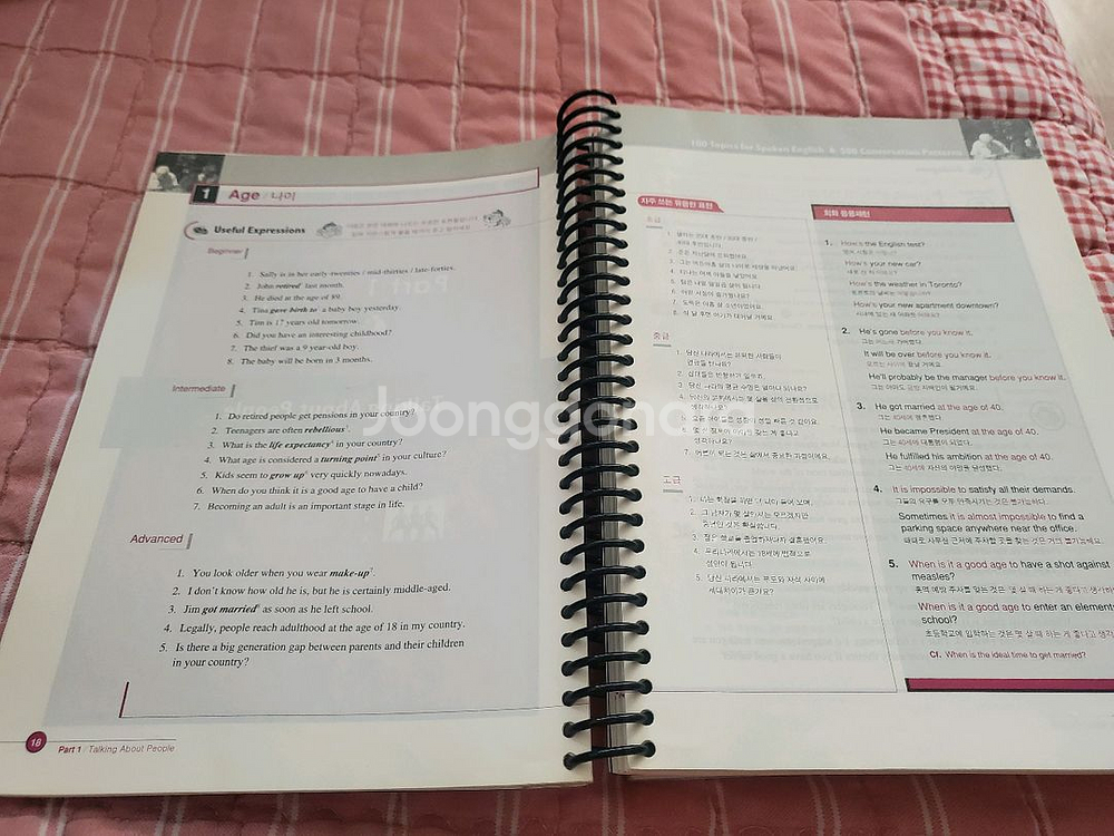 영어회화 교과서 + 어순으로 끝내는 영어회화 세트--3