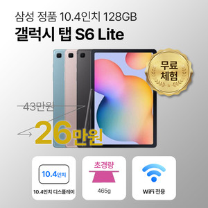 삼성 갤럭시탭S6 Lite 64GB 옥스포드 그레이