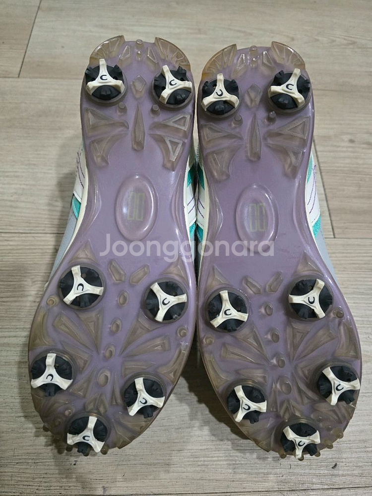 닥스골프 여성가죽 골프화 240mm--6