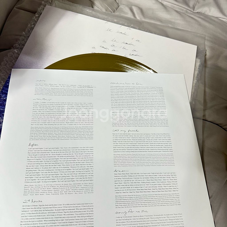 션 멘데스 Wonder LP 골드 컬러반 팝니다--1