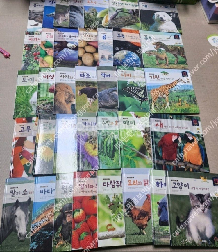 프뢰벨토탈012퍼펙트(영아다중.영아테마.말하기.생생다큐등등)--4