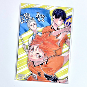 하이큐)특전) 카게야마 히나타 호시우미 카라스노 카모메다이 엽서 원화