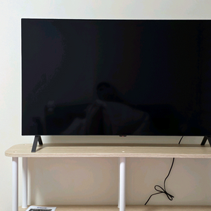 LG 48인치 OLED TV 스탠드형 팝니다.(부산)