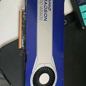 AMD 라데온 RX6600 그래픽카드
