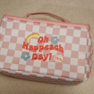 카카오프렌즈 보온보냉백 팝니다.