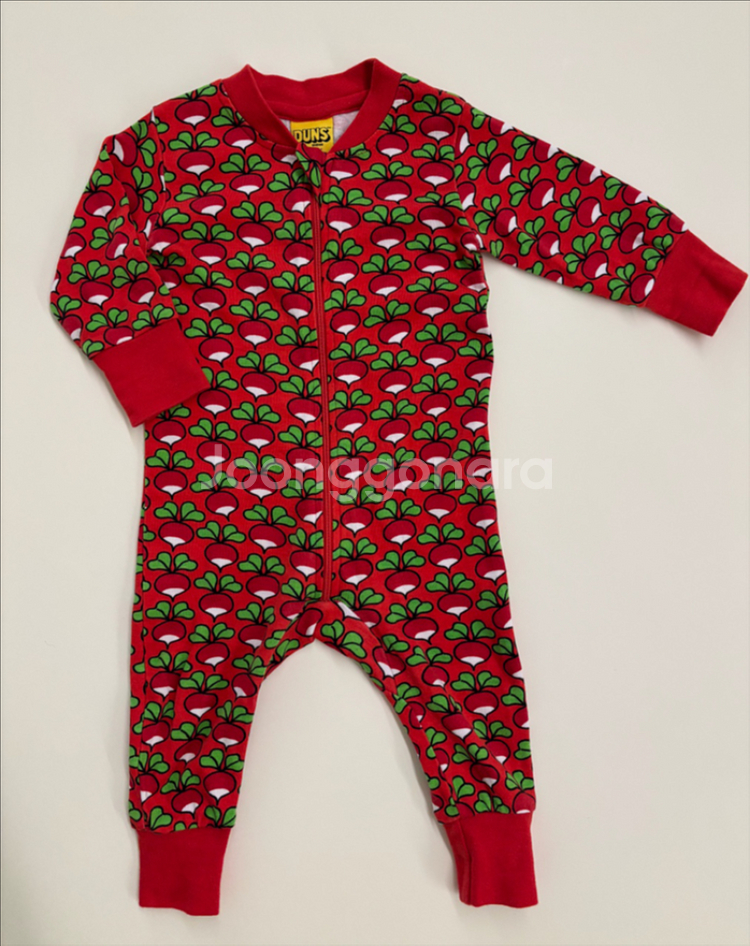 던스 포피레드 집업 68--0