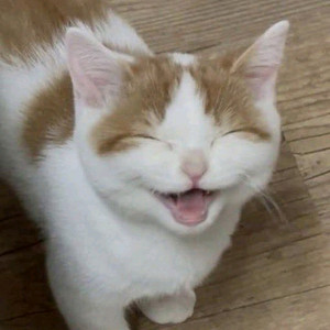 cgv 퍼스트 라이드 4천 메가박스 9천 영화 예매