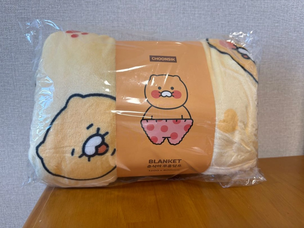 춘식이 무릎담요 - 안심되는 중고거래
