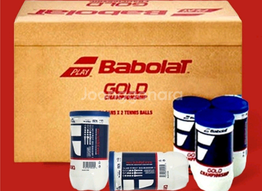 바볼랏 골드 테니스공--0