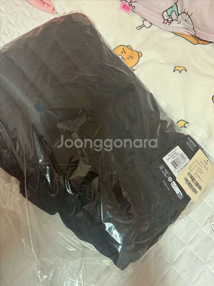 아크테릭스 세륨후디 새상품--0