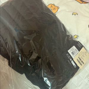 아크테릭스 세륨후디 새상품